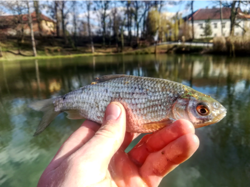 IMG 20180401 195911