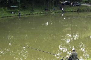 IMG 0918